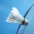Profile picture of Wiveliscombe GB Badminton Club