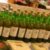 Profile picture of Brendon Orchards Cooperative